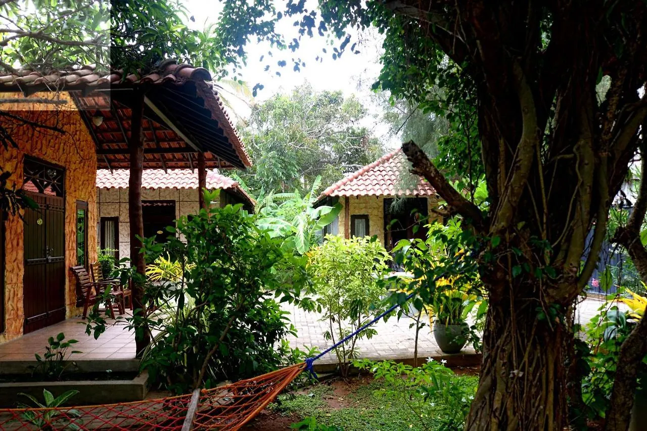 ***  Maple Leaf Hotel Negombo Sri Lanka